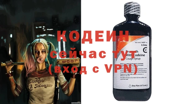 индика Беломорск