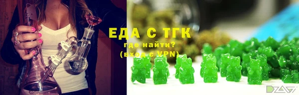 индика Беломорск