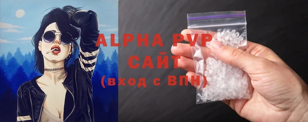 индика Беломорск