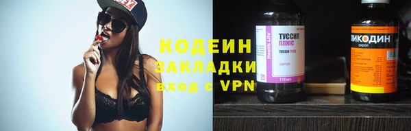 индика Беломорск