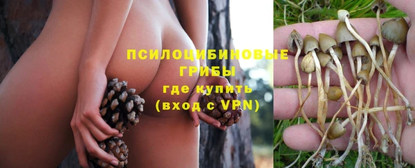 индика Беломорск